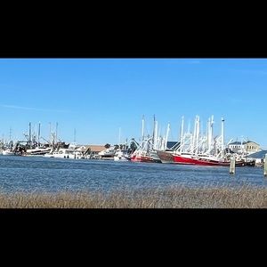 Meet your Posher, Sandra